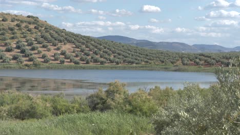 Laguna-Natural-Rodeada-De-Olivos