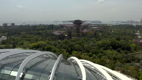 Gardens-by-the-Bay-Aerial-Push-in-Shot-Over-Flower-Dome-in-Singapore