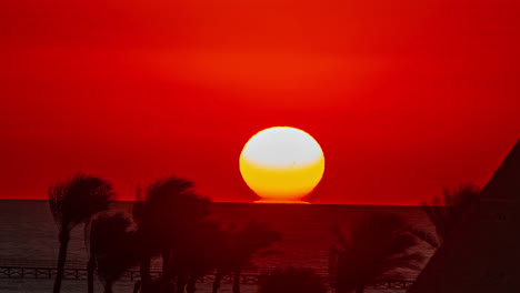 Time-lapse-of-the-sun-rising-above-palm-trees,-sea-and-the-colorful-red-sky