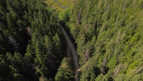 Aerial-Drone-Tilt-Down-View-Over-Alpine-Forest-and-Dead-Trees-Along-a-Stream-of-Water-on-Moresby-Island,-Canada