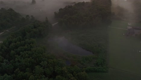 Vista-Aérea-De-Brezos-Salvajes-En-El-Campo-Durante-La-Mañana-Brumosa,-Países-Bajos