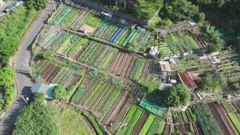 Vista-Aérea-De-Parcelas-Urbanas-De-Hortalizas-En-Zhuwei,-Tamsui,-Taipei.