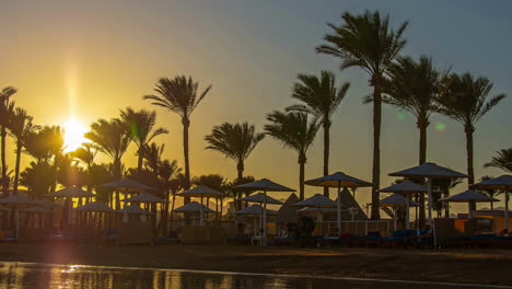 Zeitraffer-Sonnenuntergang-Am-Strand,-Exotische-Palme,-Entspannender-Goldener-Sonnenuntergang