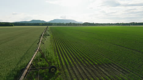 Sprawling-green-fields-under-blue-skies-with-irrigation-equipment,-Dardanelle,-AR