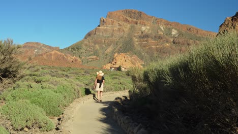 Mujer-Atractiva-Vestida-De-Verano-Caminando-En-El-Parque-Nacional-Del-Teide,-Vista-Trasera