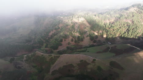 Nice-aerial-view-over-the-Canarian-pine-forest-and-passing-through-low-clouds