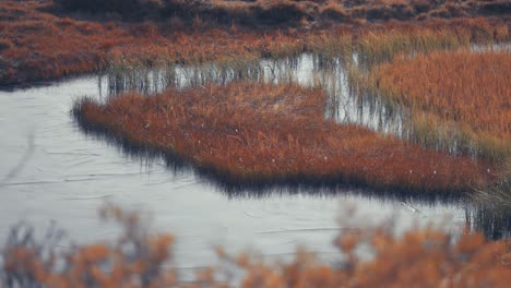 Dünne-Schicht-Aus-Frischem-Eis-Bedeckt-Den-Kleinen-Teich-Mit-Grasbewachsenen-Inseln-Und-Ufern-In-Der-Herbstlichen-Tundra