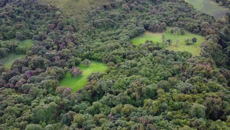 üppiger-Wald-Aus-Der-Luft:-Unberührte-Vegetation-In-Den-Ecuadorianischen-Anden