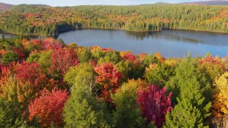 Colorido-Bosque-Otoñal-Y-Lago,-Vista-Aérea-De-Drones