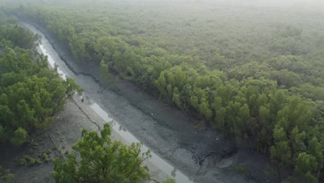 Ariel-view-shot-of-Sundarban,-which-is-one-of-the-biggest-tiger-reserve-forest-in-Asia