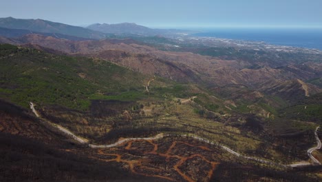 Burned-forest-in-Estepona-hills,-aerial-drone-view-with-ocean-in-horizon