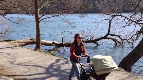 Woman-with-stroller-and-exercising-men-pass-by-fallen-tree-by-water-in-Stockholm