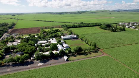 Ecole-Du-Nord-En-Mauricio-Rodeada-De-Exuberante-Vegetación-Y-Campos,-Día-Soleado,-Vista-Aérea