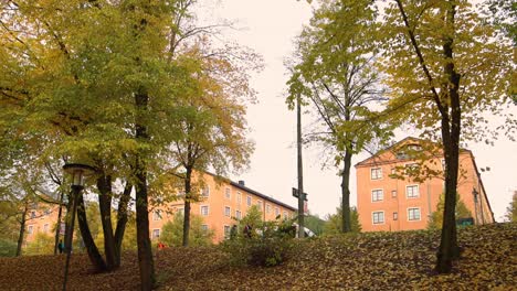 Static-view-from-below-of-people-walking-by-leafy-hill-in-Stockholm