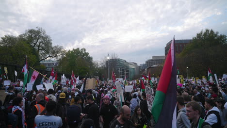 Eine-Weitwinkelaufnahme-Von-Pro-palästinensischen-Demonstranten,-Die-Sich-Mit-Fahnen-Und-Schildern-Vor-Dem-Weißen-Haus-Auf-Der-Straße-Versammeln