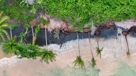 Palmeras-Escénicas-En-Trancoso-Bahía-Brasil.