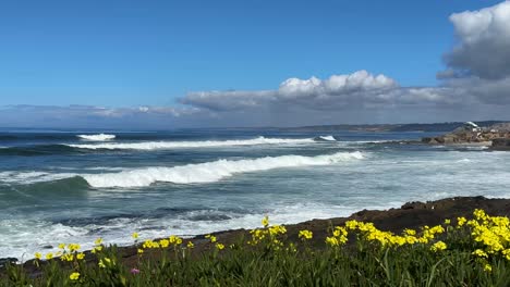 La-Jolla-Cove,-California-landscape-during-a-beautiful-sunny-day-with-large-waves-and-the-Childrens-Lifeguard-Station-in-the-background