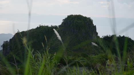 Vista-Panorámica-Desde-El-Pico-De-La-Montaña-Osmeña-En-La-Isla-De-Cebú,-Filipinas