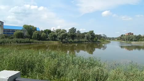 Mirgorod,-Ucrania---20-De-Agosto-De-2016:-Gente-En-Las-Calles