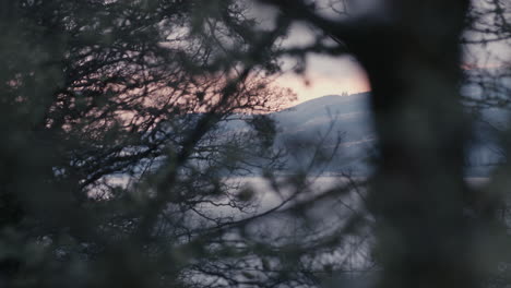 Distant-land-seen-through-blurry-trees
