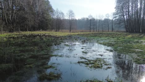 Überlaufwiese-überflutetes-Feuchtgebiet-Luftbild-Links-Sonniger-Tag-Sonnenstrahlen