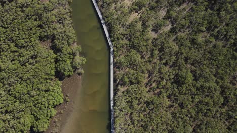 Umweltfreundlicher-Und-Rollstuhlfreundlicher-Holzsteg-Entlang-Des-Bellinger-River-Und-Der-Mangroven-Feuchtgebiete