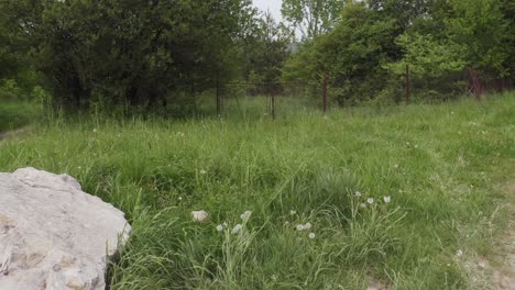 Drohne-Nähert-Sich-Einem-Natürlichen-Felsdenkmal-Inmitten-Einer-Unbefestigten-Straße-In-Den-Wäldern-Des-Dorfes-Tsarichina-Hole-In-Bulgarien