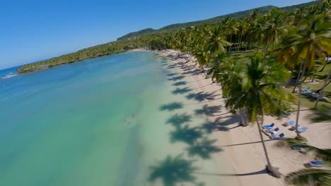 Drone-soars-above-shallow-coastline-as-palm-trees-cast-beautiful-shadows-on-golden-sand-with-tourists-sun-bathing,-Asserradero-Samana-Dominican-Republic