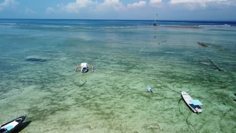 Aerial-flight-over-seaweed-farm-beneath-water-toward-ocean,-Nusa-lembongan