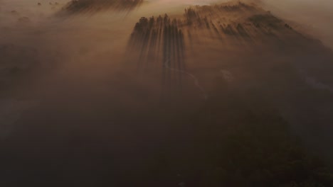 Vista-Aérea-De-Brezos-Salvajes-En-El-Campo-Durante-La-Mañana-Brumosa,-Países-Bajos