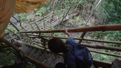 Person-descending-a-bamboo-ladder-in-a-lush-Philippine-forest,-high-angle-view