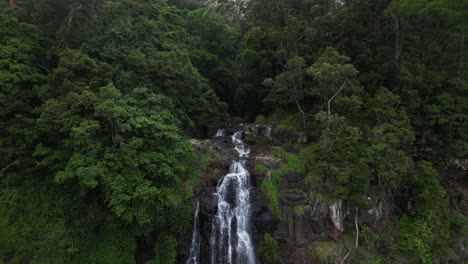 Ein-Versteckter-Regenwaldbach,-Der-In-Einem-Wasserfall-Herabstürzt,-Umgeben-Von-Nebligem-Nebel