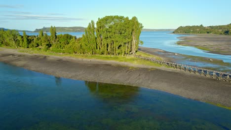 Aerial-orbit-establishing-of-Aucar-Island-with-a-flock-of-birds-flying-around,-greenery-on-Chiloe