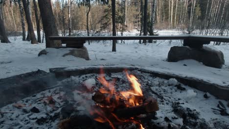 Snowy-winter-campfire-burns-in-fire-pit-in-cold-northern-boreal-forest
