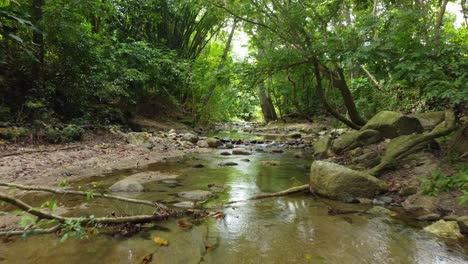 Slowly-streaming-water-in-river-in-a-dense-forest-in-Colombia
