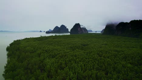 Tiefflug-über-Mangrovenwälder-Entlang-Der-Küste-Der-Bucht-Von-Phang-Nga-Mit-Felsigen-Bergen-Im-Hintergrund,-Thailand