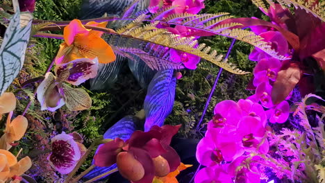 Toma-Panorámica-Sobre-Hermosas-Flores-Tropicales-Y-Helechos