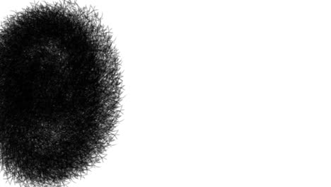 Brush-stocks-2-circle-overlay-vectors-animation