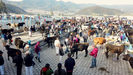 überfüllter-Viehmarkt-In-Otavalo-In-Ecuador-Mit-Unterschiedlichen-Menschen-Und-Tieren-Bei-Tageslicht