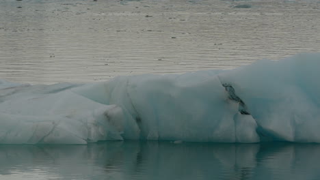 Laguna-Glaciar,-Jökulsárlón,-Islandia,-Con-Icebergs-Y-Agua-Azul-Helada