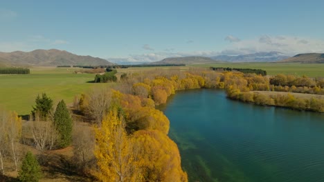 Fall-season-in-New-Zealand-with-color-changing-trees-on-shore-of-lake