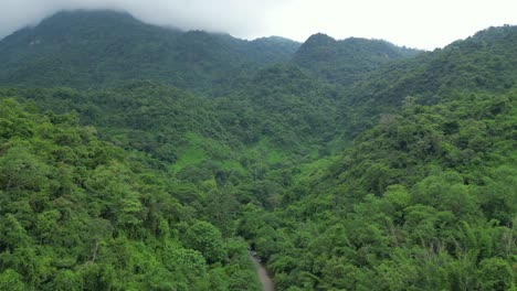 Fog-covered-mountaintop-in-Thailand's-wilderness