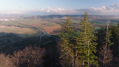 Natur-Trifft-Zivilisation,-Stadt-Im-Hintergrund,-Panoramablick-über-Bäume-Hinweg