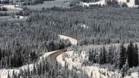 El-Manto-Siempre-Verde-De-Los-Kootenays:-Una-Escena-De-Bosque-Nevado.