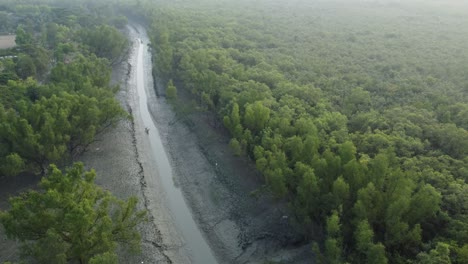 Ariel-view-shot-of-Sundarban,-which-is-one-of-the-biggest-tiger-reserve-forest-in-Asia