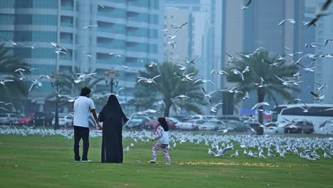 On-February-24,-2024,-Residents-feeding-the-migratory-birds-on-a-misty-winter-morning-in-Sharjah,-UAE