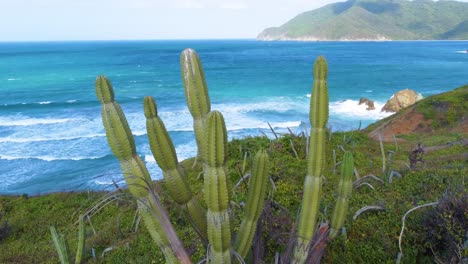 Grandes-Olas-Rompiendo-En-Una-Playa-Tropical-Rocosa-Con-Cactus-En-Primer-Plano
