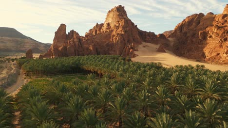 Oasis-in-desert-with-green-palm-trees,-orange-rocks-and-yellow-sand-on-sunrise