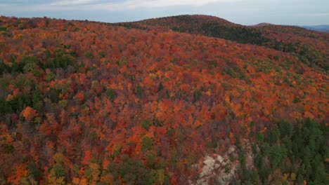 aerial-view-over-canadian-colorful-forest-during-fall,-autumn,-Mont-Sourire-in-laurentides,-quebec-region,-canada
