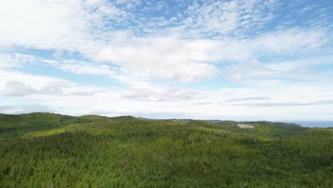 Aerial-Tilt-Down-Shot-Over-Green-Lush-Woodland-Forest-on-Moresby-Island-in-British-Columbia,-Canada